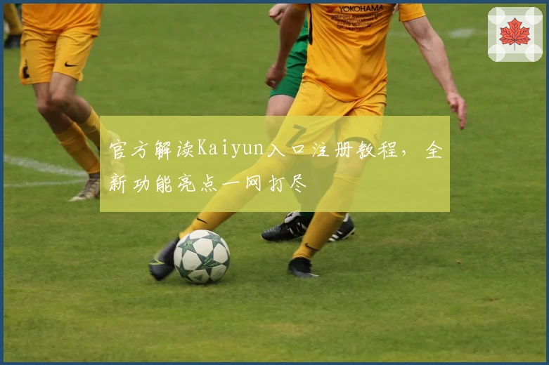 官方解读Kaiyun入口注册教程，全新功能亮点一网打尽