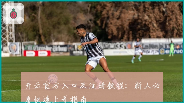 开云官方入口及注册教程：新人必看快速上手指南