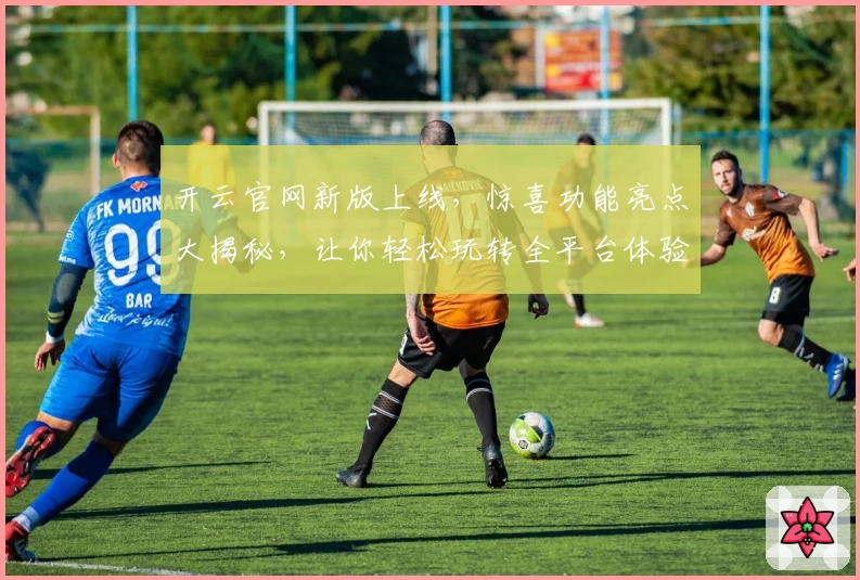 开云官网新版上线，惊喜功能亮点大揭秘，让你轻松玩转全平台体验