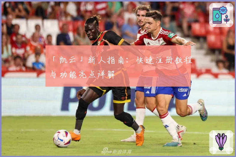 「凯云」新人指南：快速注册教程与功能亮点详解