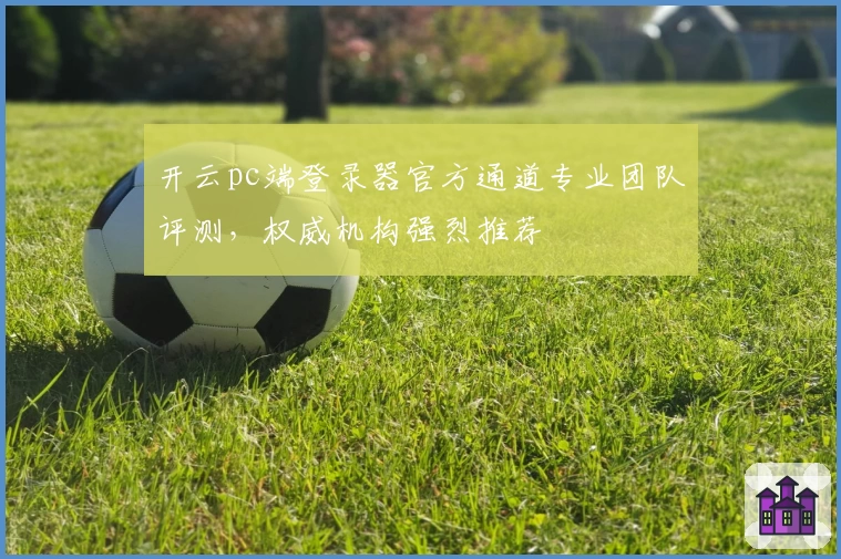 开云pc端登录器官方通道专业团队评测，权威机构强烈推荐